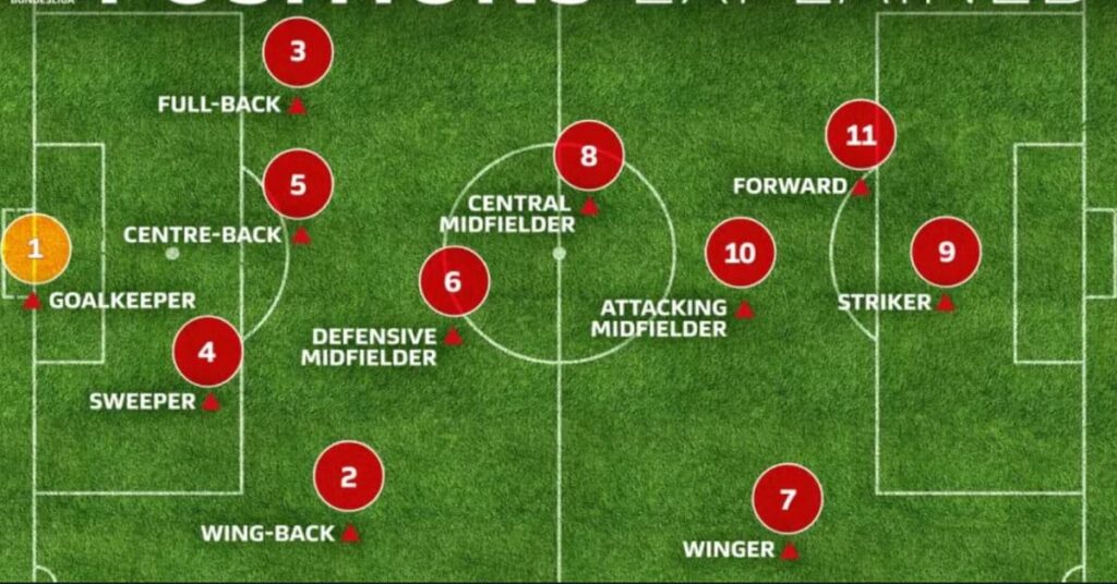 eleven positions in soccer